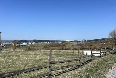 Teren Construcții intravilan de 1774 mp, în Dorna Candrenilor - 4