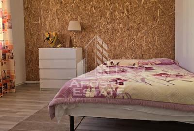 Vila individuala, in Sofronea, jud. Arad - 10