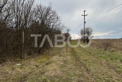 Teren intravilan 791 mp utilitati langa parcela front 13 m Cisnadie Teren intravilan 791 mp utilitati langa parcela front 13 m Cisnadie - 4