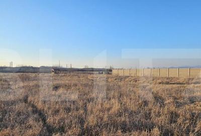 Teren intravilan 1677 mp in Bacia - 3