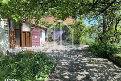 Casă cu 2 camere cu Teren 1141 Mp în Apoldu de Jos - 14