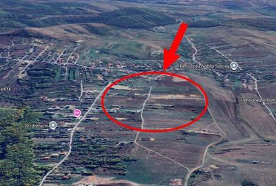 Teren de 1500 mp, în Ciurila - 4