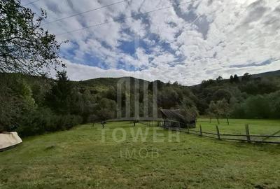 Teren Intravilan de Vanzare 3622 mp Rau Sadului - 9