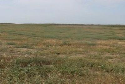 Teren de 2000 mp, în Negrilești - 4