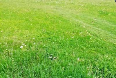 Teren intravilan P.Neamt - 2