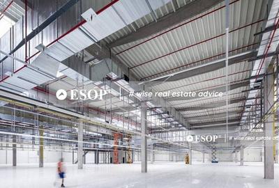CTPark Arad II, hale in parc industrial, 0% comision, 3.000-21.000mp - 2