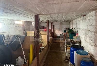 Spațiu comercial, de 98 mp, în Drăgușeni - 2