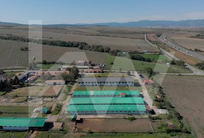 Proprietate industriala cu hale moderne, teren generos si acces Autostrada A1 - 18