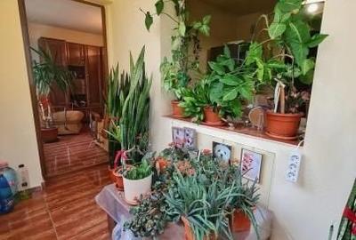 Apartament cu 3 camere decomandat, mobilat în Casa de Cultură - 7