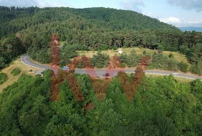 Teren cu priveliste superba si deschidere la drumul de Poiana Brasov - 10