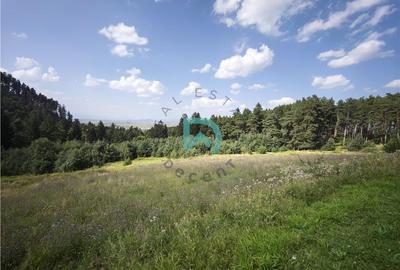 Teren Construcții intravilan de 1500 mp, în Poiana Angelescu - 1