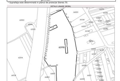 Teren Construcții intravilan de 46138 mp, în Ștefăneștii de Jos