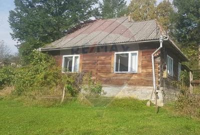 Casa si teren 1.6 ha de vanzare, in Rona de Jos - 4