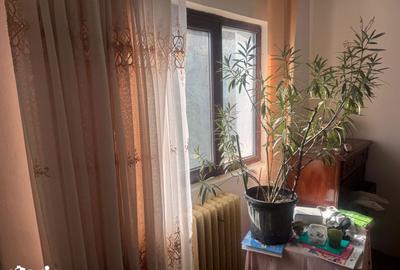 Casă cu 3 camere cu Teren 150 Mp în Central - 3