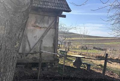 Casă cu Teren 1400 Mp în Mănăștur - 2