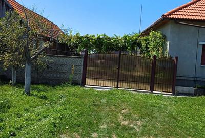 Casă cu 2 camere cu Teren 3150 Mp în Șanovița - 4