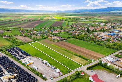 Teren Construcții intravilan de 5000 mp, în Nord-Est - 1