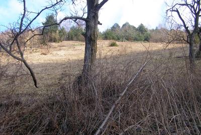 Teren agricol intravilan de 20370 mp, în Schei - 3