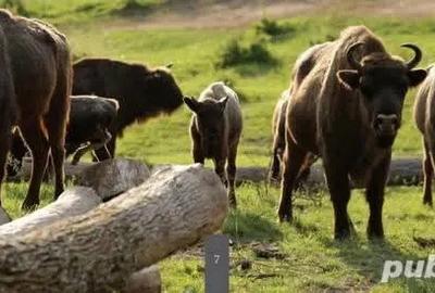 De vanzare teren cu casa inceputa - 2