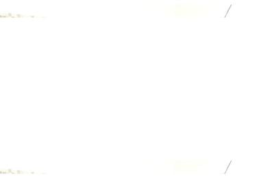 Apartament cu 2 camere decomandat în Titan - 2