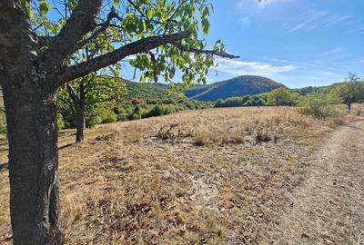 Teren de 35400 mp, în Balta