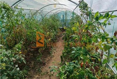 Casă individuală cu 3 camere cu Canalizare în Movila Banului - 12