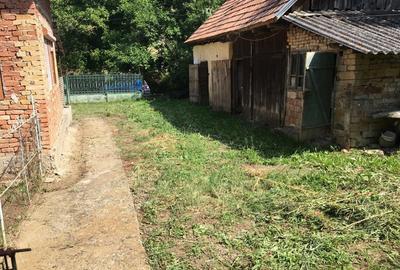 Casă cu 3 camere cu Teren 2913 Mp în Măhăceni - 4