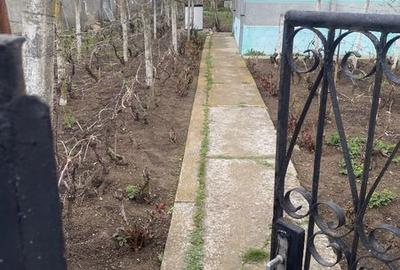 Casă cu 4 camere cu Teren 240 Mp în Albești-Paleologu