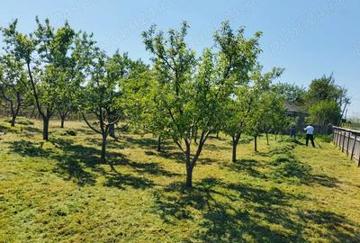 PERSOANA FIZICA!Casa batraneasca cu teren si livada,sat Macaresti, com Prisacani iasi - 5