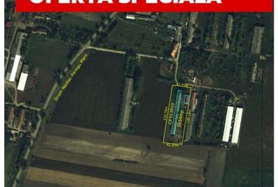 Proprietate mixta de vanzare in Nadlac - Casa moderna + hala/grajd + teren mare - 8