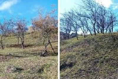 Teren cota parte 1/2, Sat Vistieru, ID: R2809860 - 2