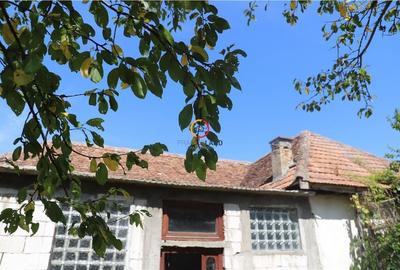 Casa traditionala Bruiu Somartin judet Sibiu