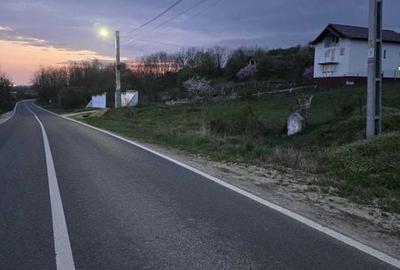 Teren de 1600 mp, în Davidești - 4