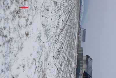 Teren de 5000 mp, în Cărpiniș - 4