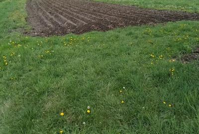 Casă cu 4 camere în Toplița - 2