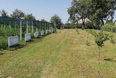 Teren intravilan in Barcanesti-centru, sat Candesti, Neamt, 3000mp - 1