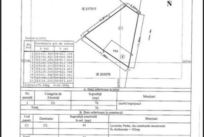 Vila cu 4 camere D+P+1 | Piata Unirii | Bd. Marasesti | 2 locuri parcare - 18