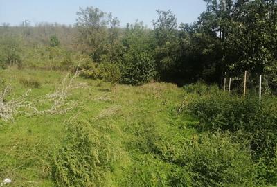 MALCOCI -TEREN INTRAVILAN, 2472 MP, DESCHIDERE 12 ML. - 2