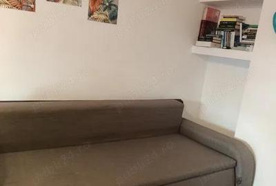 De vanzare apartament cu 2 camere in Calea Lipovei amenajat centrala proprie - 3