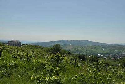 Spațiu comercial, în Tomești - 3