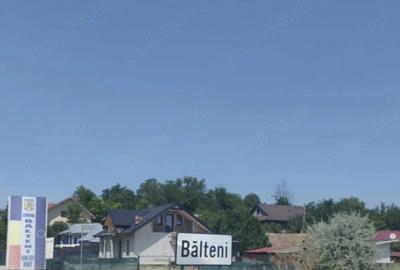 Teren de 10400 mp, în Bălteni - 2