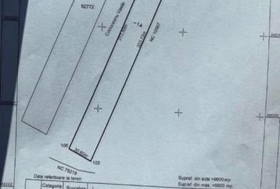 Teren Construcții intravilan de 9600 mp, în Ciocănești - 4