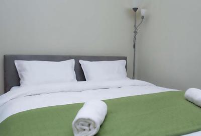 Ultracentral - Apartament 1 camera, Palatul Victoria, Piata Operei - 9