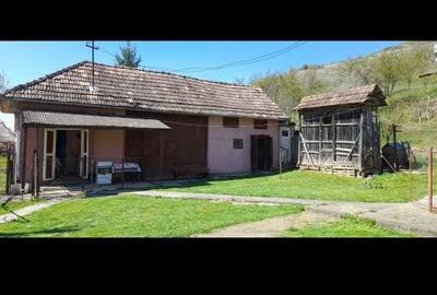 Casă cu 2 camere în Dosu Bricii - 2