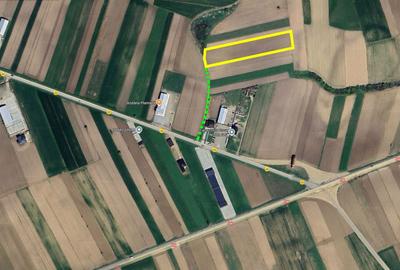 Spațiu comercial, în Horodnic - 3