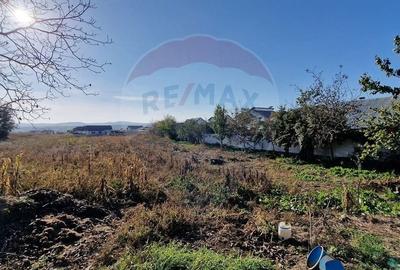 Teren Construcții intravilan de 3100 mp, în Lilieci - 2