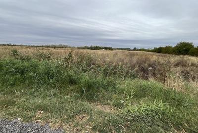 Teren agricol intravilan de 15000 mp, în Ionești - 5