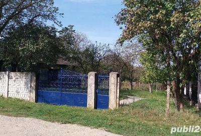 Casă cu 4 camere în Bretea Streiului - 6