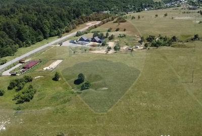 Teren de 5561 mp, în Paltin - 16