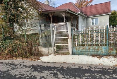 Casa Supur de Sus Satu Mare - 6